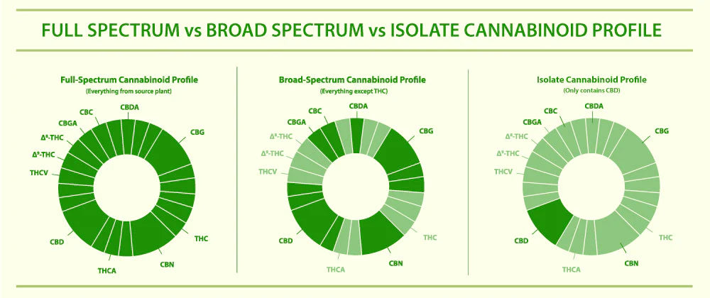 Benefits of Full Spectrum CBD VS CBD Isolate