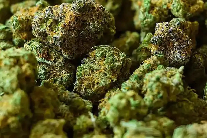 LAZE is a CBD Vape Shop that sells premium CBD goods.